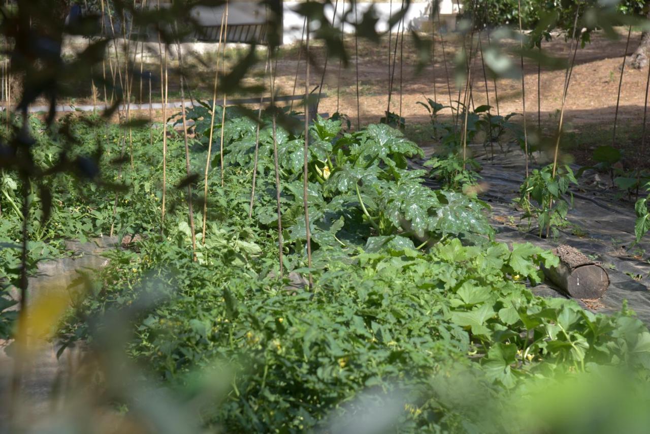 Tenuta Calitre เมเลนดูญโญ ภายนอก รูปภาพ